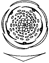 mc-ranu1.gif (3117 Byte)